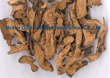 Κίνα Rhizoma καφετής κίτρινος σκονών 1-1-38 αποσπασμάτων Drynariae βοτανικός για τον πόνο απελευθέρωσης προμηθευτής