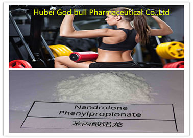 Κίνα Στεροειδής ικανότητα κύκλων συσσώρευσης σκονών Phenylpropionate 62-90-8 Nandrolone προμηθευτής