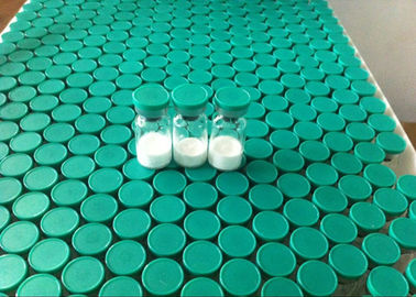 Κίνα Φυματίωση 500 Thymosin βήτα 4 πεπτιδίων στεροειδή 77591-33-4 ορμονών αύξησης Bodybuilding ανθρώπινα προμηθευτής