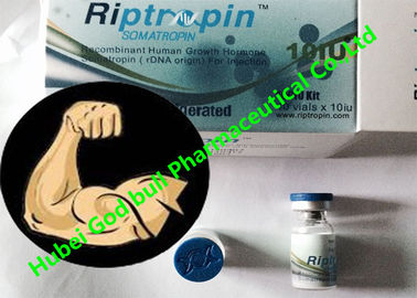 Κίνα Ανθρώπινη ορμόνη αύξησης Riptropin Hgh Bodybuilding 100iu/ασφαλής παράδοση εξαρτήσεων προμηθευτής