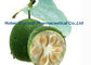 Swingle Momordica Grosvenori Fructus σκόνη CAS 88901-36-4 εκχυλισμάτων φρούτων προμηθευτής